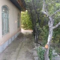 باغ-میوه-بهمراه-ویلا-و-کوچه-شخصی