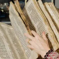 دعا میدم تظمینی با نفس حق و دستان سبز و کلام حق