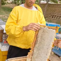 عسل طبیعی بهاره به شرط مرجوعی|خوردنی و آشامیدنی|قیدار, |دیوار