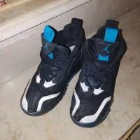 اورجینال اصلی|کیف، کفش، کمربند|بیجار, |دیوار