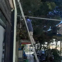 جوشکاری ساختمان