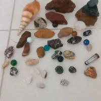 ماهی گوپی و اکواریوم