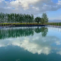 اجاره زمین کشاورزی برای کاشت کاهو و کلم|اجارهٔ دفتر صنعتی، کشاورزی، تجاری|بشاریات, |دیوار