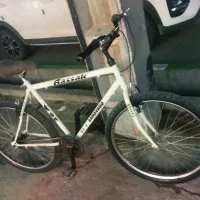 دوچرخه ۲۶ آساک دماوند