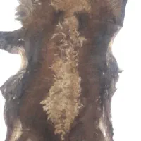 زیر انداز پوستی|روفرشی|خرمآباد, |دیوار