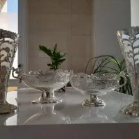 ظروف سیلور پذیرایی