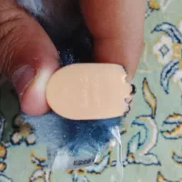 لبوبو|اسباببازی|اردکان, |دیوار