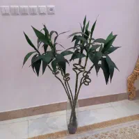 گل و گلدان