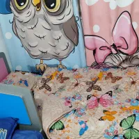 تخت نوجوان و کودک|تخت و صندلی بچه|مشهد, عبادی|دیوار