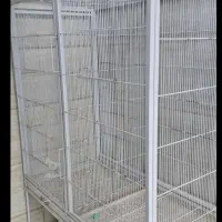 فروش جوجه پران سابز 1×۱/۵