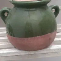 دیزی