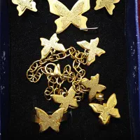 ست کامل پروانه