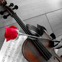 آموزش ویلون از مقدماتی تا پیشرفته