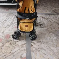 کالسکه رنگ خردلی