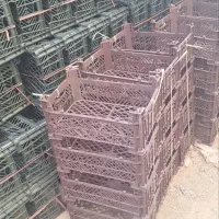 سبد