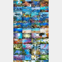 فروش تایل آسمان مجازی و سی ان سی و سقف کاذب|عمده‌فروشی|اهواز, پردیس دو|دیوار