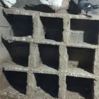 کبوتر سینه زرد