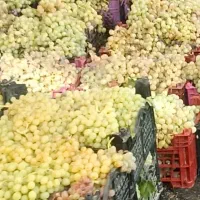 انگور‌وشیره