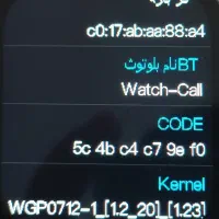 ساعت هوشمند|ساعت|زرند, |دیوار