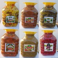 انواع ترشی(عمده)