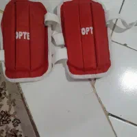 ساق پا
