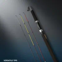 این چوب ماهیگیری نیست، طلاست