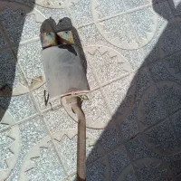 منبع اگزوز جی اس دو لول هفت رنگ هدلایت m10 پرو|قطعات یدکی و لوازم جانبی|آبیک, |دیوار