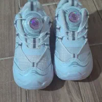 کفش کتانی|کیف، کفش، کمربند|الوند, |دیوار