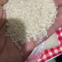 برنج نیم دانه