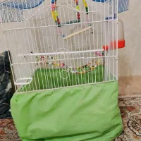 قفس با وسایل