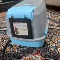 یک عدد گربه نر کاملا دستی و مهربون|گربه|تنکابن, |دیوار