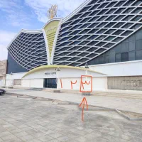 پرشین لوتوس دلوار