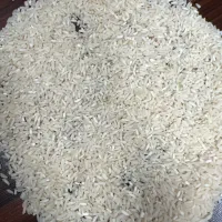 سرلاشه طارم هاشمی ممتاز