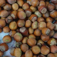 فندق خوراکی|خوردنی و آشامیدنی|تهران, مهرآباد جنوبی|دیوار