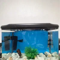 آکواریوم شیشه خم