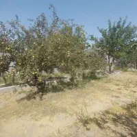 باغ ۵۰۳ متری در نزدیکی شهرک خاوران|فروش خانه و ویلا|باسمنج, |دیوار