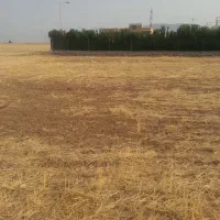 1600 متر زمین در میانگران علیا