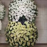 دسته گل تاجگل بازار گل
