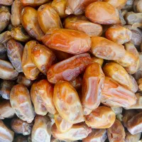 خرمازرد فروشی