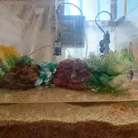 فروش آکواریوم شیشه خم شرکتی با فیلتر و بخاری