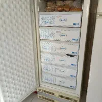 یخچال فریزر|یخچال و فریزر|شاهینشهر, خانه کارگر|دیوار