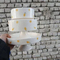 تولید کننده انواع ظروف سرامیکی