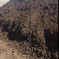 کود گاوی