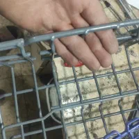 سبدظرف شویی تعمیرات انواع مدل|ماشین ظرفشویی|رشت, توشیبا|دیوار