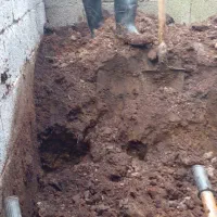 فروش پهن خشک گاو کهنه در کیسه|لوازم جانبی حیوانات|اسالم, |دیوار