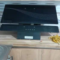 هود سالم|هود|کرمان, |دیوار