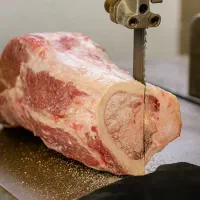 تیغ اره استخوان بر ماهی بر گوشت بر اهن بر|خدمات پیشه و مهارت|محمدشهر, شهرک چمران|دیوار