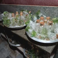 حدود. 40 تا لوستر