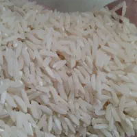 برنج هاشمی درجه یک
