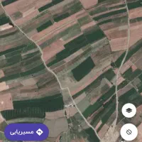 فروش بذر جو و گندم دیم